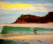 Surfing at Manly